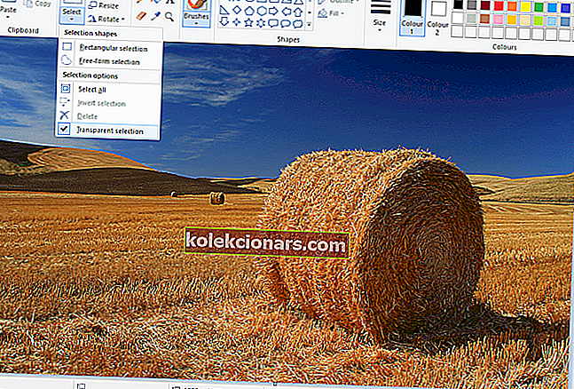 priehľadné pozadie v programe Skicár vo Windows 10