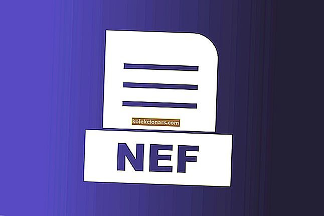 avaa NEF-tiedostot