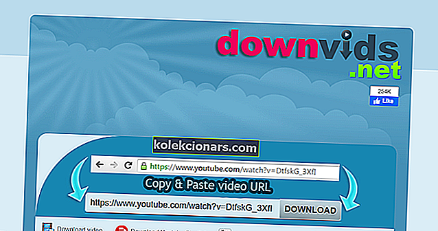Downvids webová aplikace keepvid alternativa