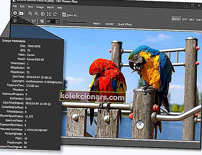 filfremviser plus 2 - bedste billedfremviser til Windows