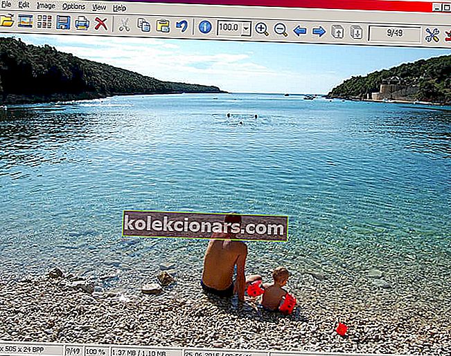 Irfanview windows 7 fotofremviser software