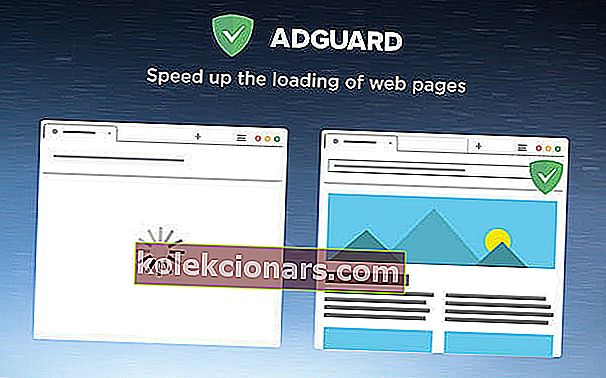 Webová stránka Adguard
