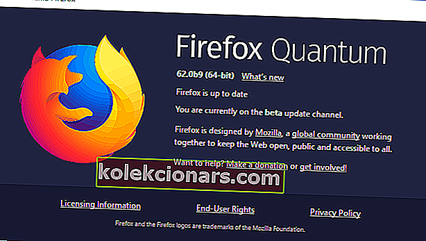 Kan ikke skrive Firefox-browseren