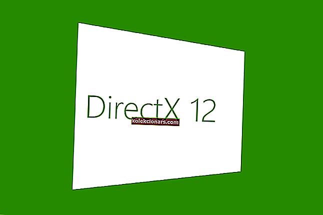 negalima įdiegti „directX“