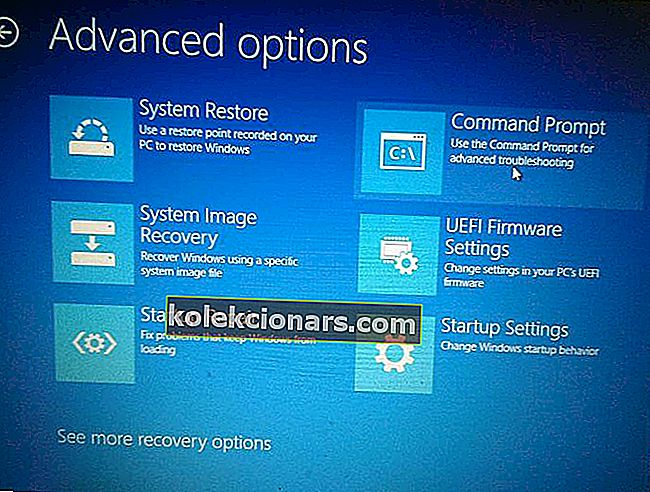 Windows 10 Advanced Option_1